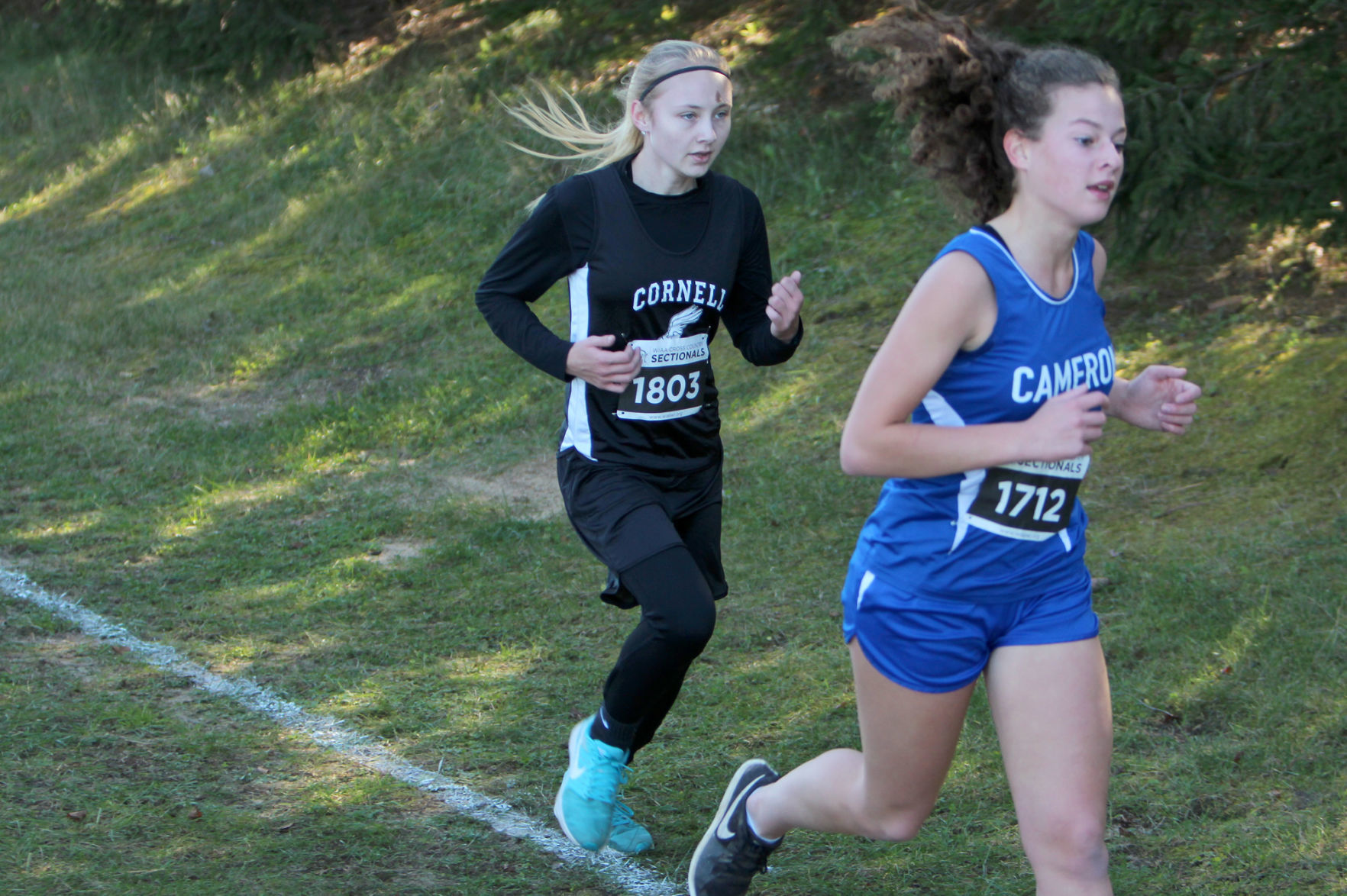Division 3 Cross Country Sectionals in Boyceville 10-26-19